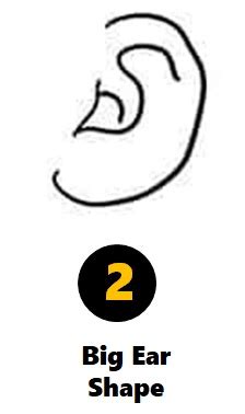 Ear Shape Personality Test: Your Ears Reveal Your True Personality Traits