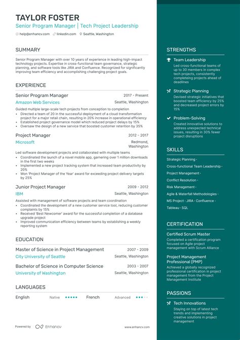 Resume Examples for Program Manager 的图像结果