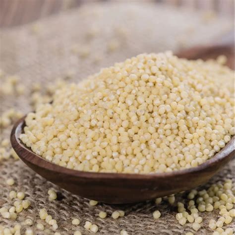 Millet Samai Rice - Little Millet Samai Rice Manufacturer from Chennai