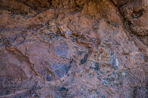 Mill Canyon Dinosaur Tracksite & Fossil Trail in Utah - We Love to Explore