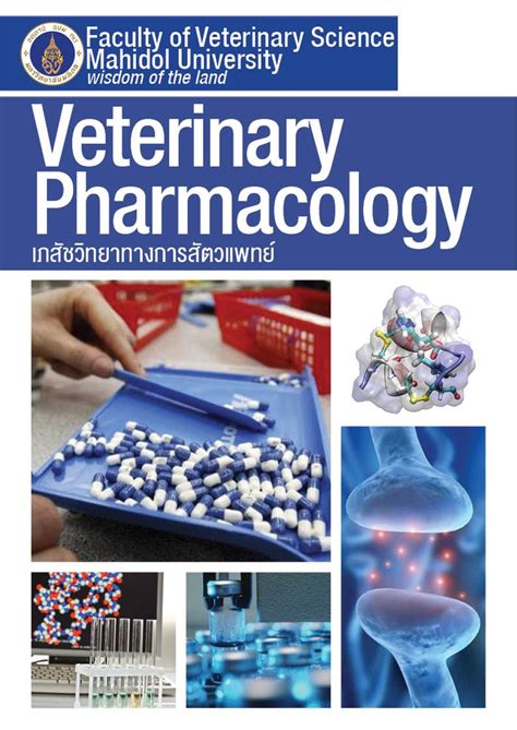 Animal Medicine 的图像结果