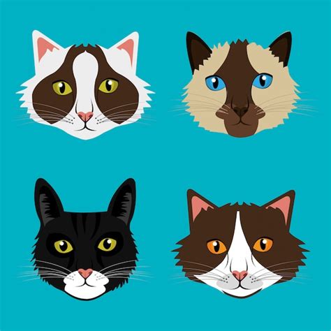 Pet cat design. | Free Vector