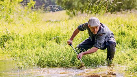 When climate change leads to the migration of fauna and flora