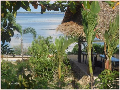 BANTAYAN ISLAND NATURE PARK & RESORT (Cebu Island) - B&B Reviews ...