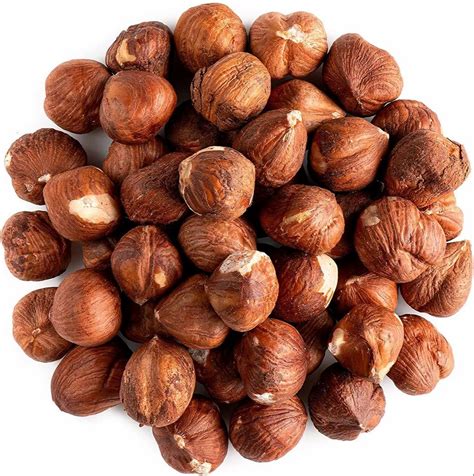 Image result for Hazelnut How to Identify