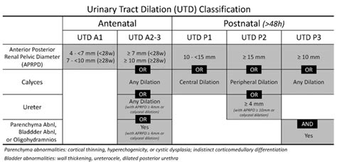 Postnatal Outcomes of Fetuses with Prenatal Diagnosis of 6–9.9 mm ...