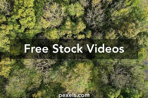 Image result for HD Sample Video File