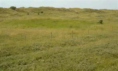 Image result for Quadrat Sampling Explained