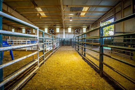 Elite Western Arena & Event Center | Mount Pleasant, Titus County ...