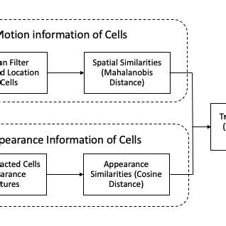 Image result for Deepsort Tutorial