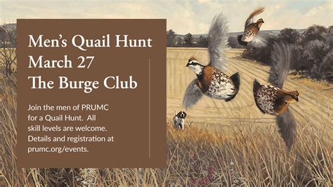 Quail Hunting Extend The Quail Hunting Tradition On A Carolina