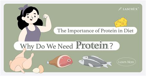 Why Do We Need Protein? The Importance of Protein in Diet. – 27GROUP - why is important protein
