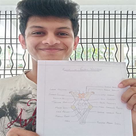 Thieme Dissector –Review