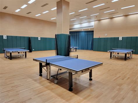 Facilities In Table Tennis