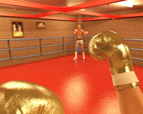 Boxing MH 的图像结果