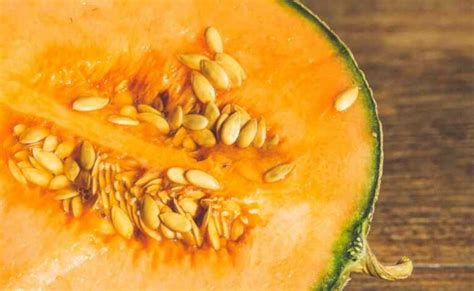 19 Buah Terbaik untuk Ibu Hamil, Menyehatkan Bunda & Kandungan