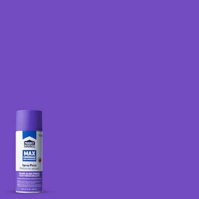 Purple Rust Preventative Spray Paint at Lowes.com