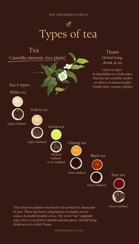 Discover Tea: Exploring Six Varieties and Their Unique Characteristics in 2025 | Tea history ...