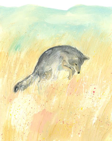 Image result for Yellowstone Wolves Book