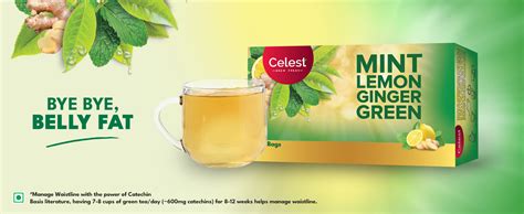 Celest Green Tea 100 Bags - Ginger, Mint & Lemon | Green Tea Bags 100 ...