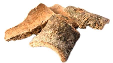 Buy Divesh Store Varuna Bark (100Grm)- Cretaeva Nurvala - Barna ...