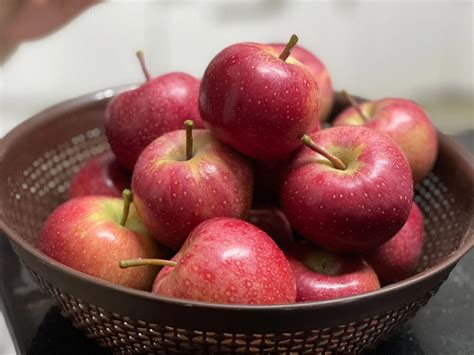 Fresh Organic Apples from Our Sustainable Orchard