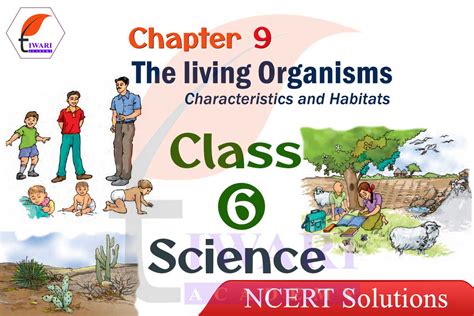 Image result for Class 6 Science Lesson 9