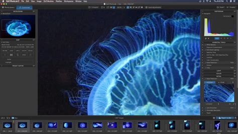 Image result for Photo Lab Tutorials