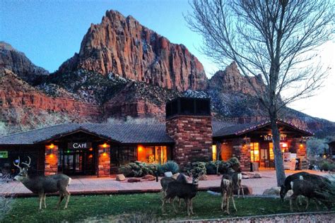 Happy Camper Market | Zion Canyon Village