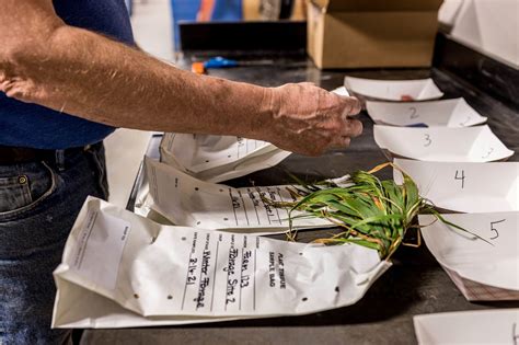 Image result for Tissue Sample Test