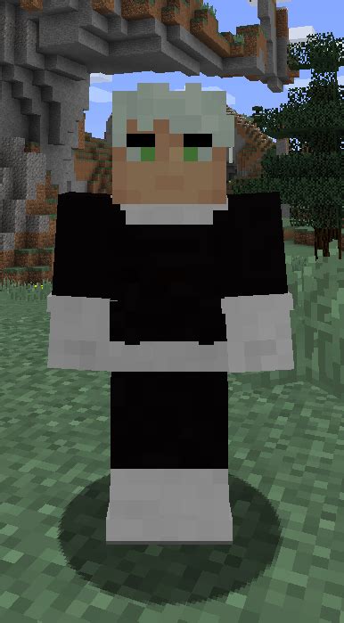 Image result for Danny Phantom Mod Minecraft