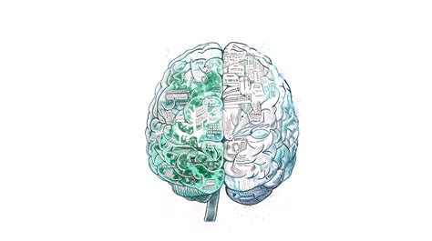 Image result for Dual Coding Theory Examples