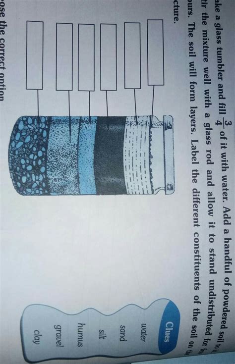 label the different constituents of soil on the picture - Brainly.in