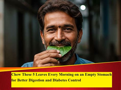Chew These 5 Leaves Every Morning on an Empty Stomach for Better ...