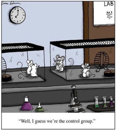 Image result for Lab Humor