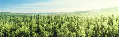 Proxy Voting ESG Integration 的图像结果