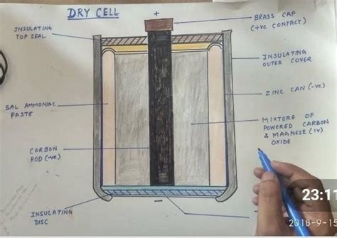 Draw a neat and labled diagram of a dry cell. - Brainly.in