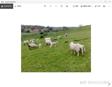 Python 图片 的图像结果