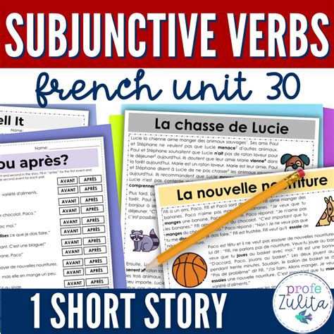 Subjunctive Mood French
