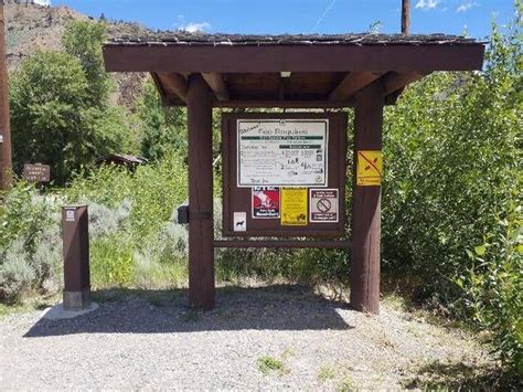 Wapiti Campground Wyoming: Camping & Hiking Near Yellowstone
