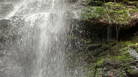 ADOKO FARMS ECO-RESORT (Akropong) - Campground Reviews, Photos, Rate ...