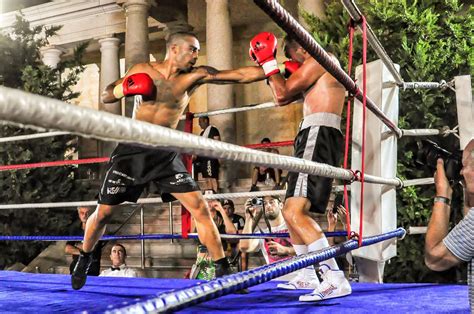 Recent Boxing Matches 的图像结果