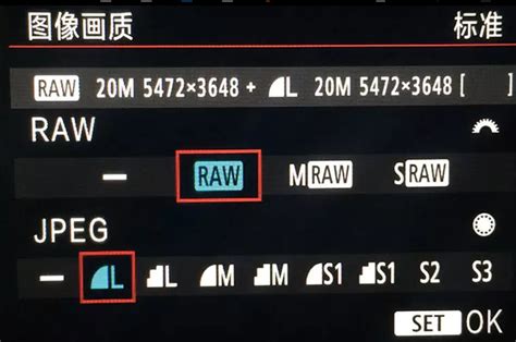 相机中的RAW格式文件是什么-照片数据恢复-迷你兔
