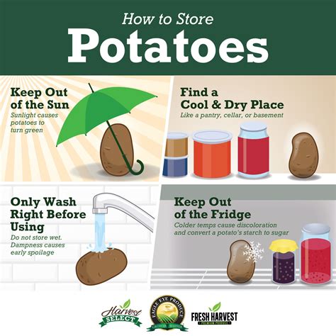 The Best Place To Keep Potatoes Fresh For Months