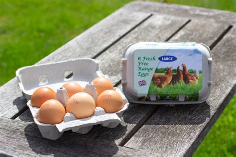 Eggs