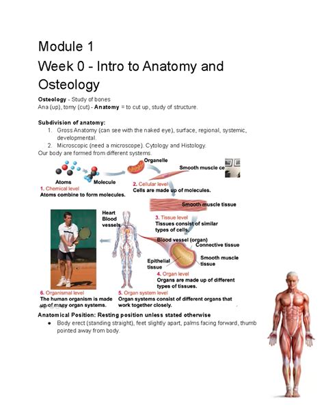 FMA Notes Mod 1 - Module 1 Week 0 - Intro to Anatomy and Osteology Osteology - Study of bones ...