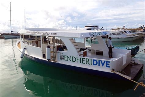ENDHERI DIVE CENTER (2026) All You Need to Know BEFORE You Go (with ...