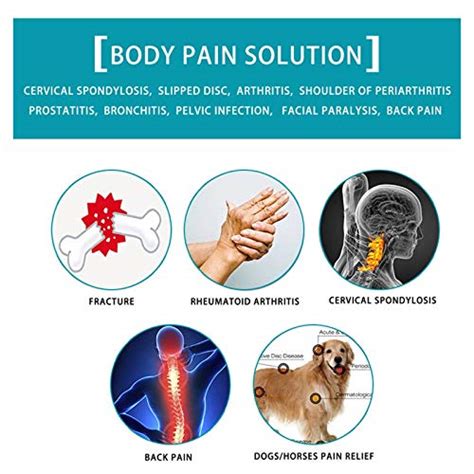 Atang Veterinary Dog And Horse Cat Animals Laser Pain Therapy ...