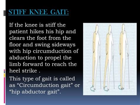 Image result for Contralateral Gait