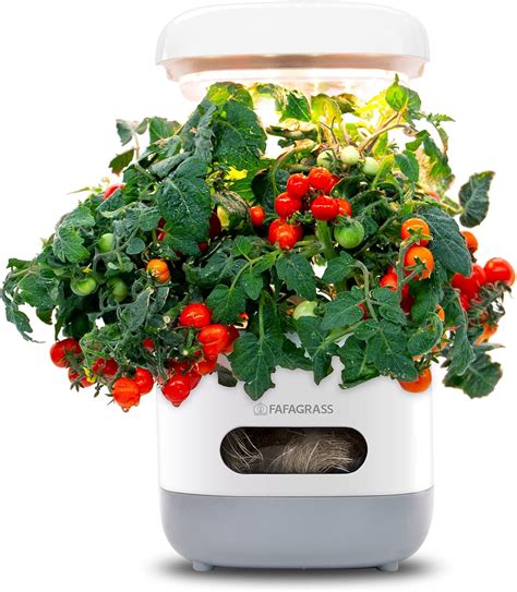 FAFAGRASS Indoor Garden Hydroponics Growing System Review - Hydroponic Gardening